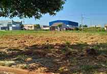 Lotes com localização privilegiada (alt text)