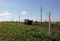 Lotes em Marialva (alt text)